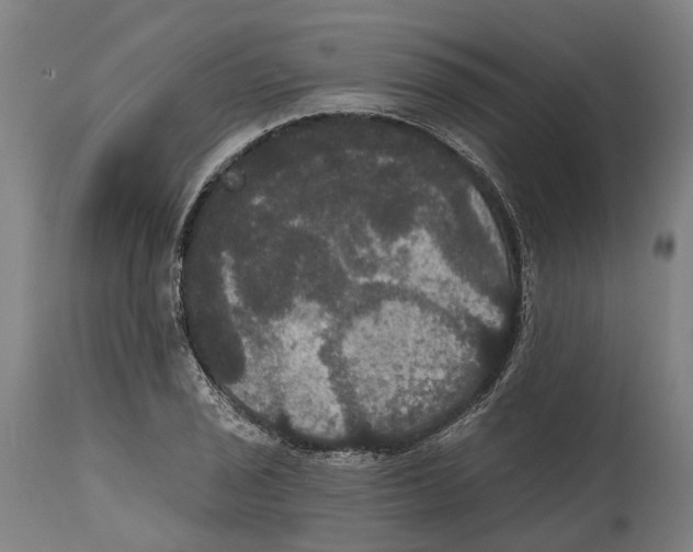 X0000114581029200911161305