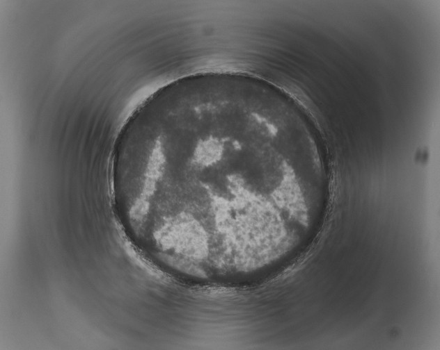 X0000114581030200911161305