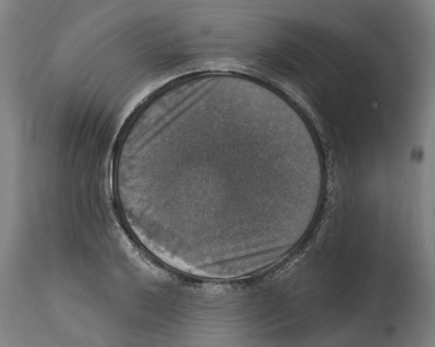 X0000114581032200911161305