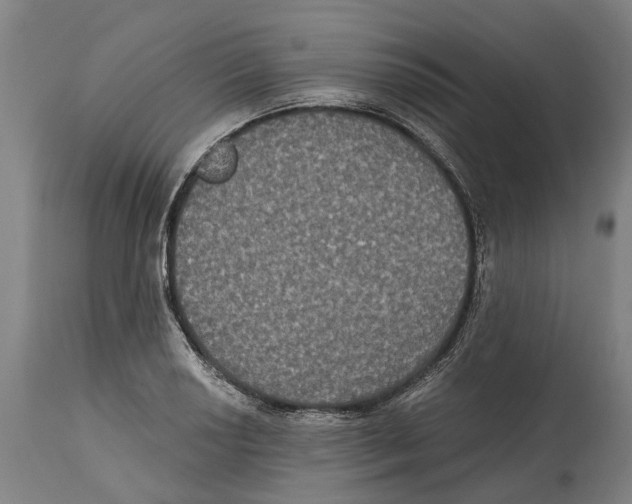 X0000114581034200911161305