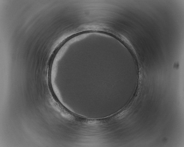 X0000114581035200911161305