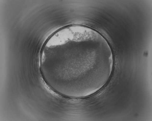 X0000114581036200911161305