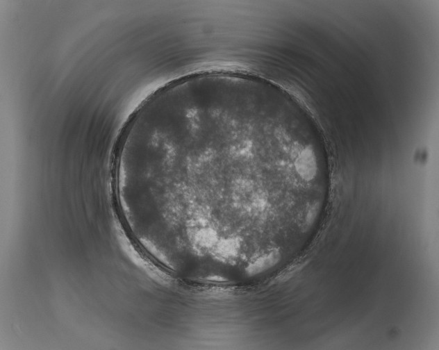 X0000114581038200911161305