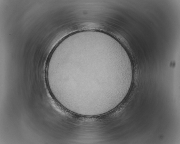 X0000114581039200911161305