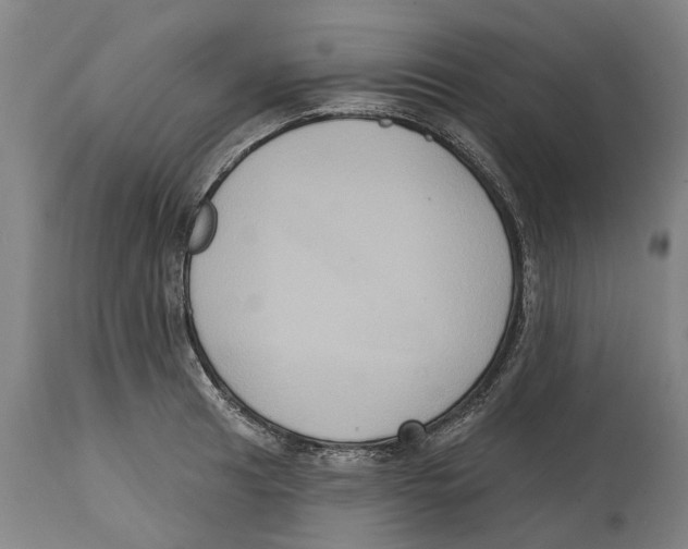 X0000114581041200911161305