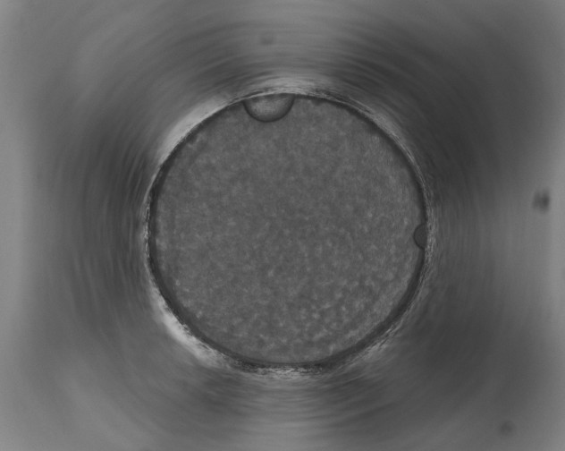 X0000114581042200911161305