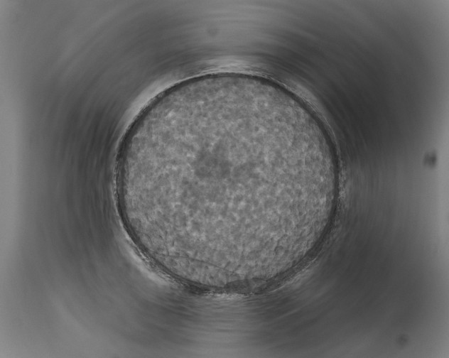 X0000114581043200911161305