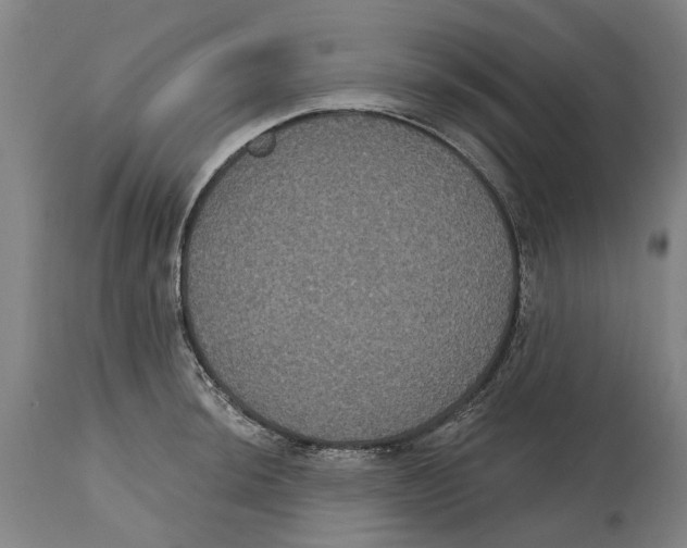 X0000114581044200911161305