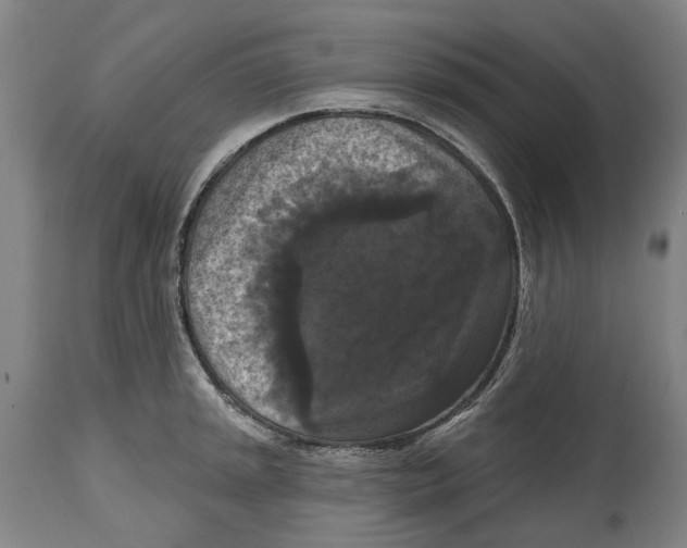 X0000114581045200911161305