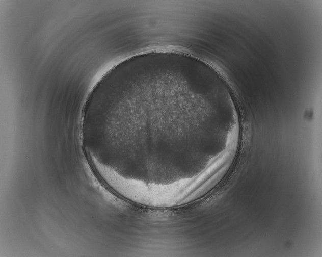 X0000114581046200911161305