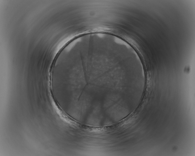 X0000114581047200911161305