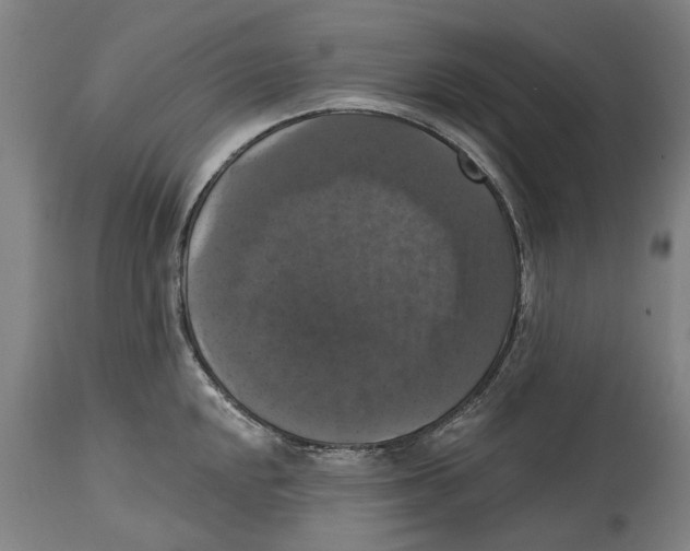 X0000114581048200911161305