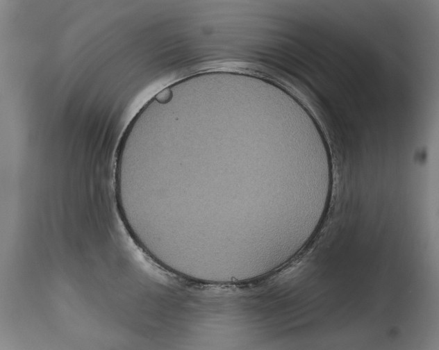 X0000114581050200911161305