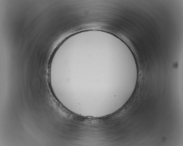 X0000114581051200911161305