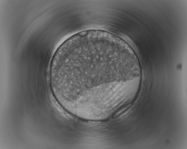 X0000114581052200911161305