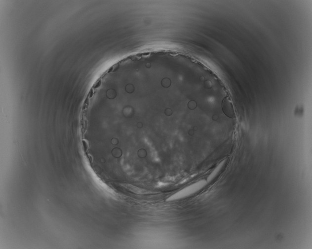 X0000114581055200911161305