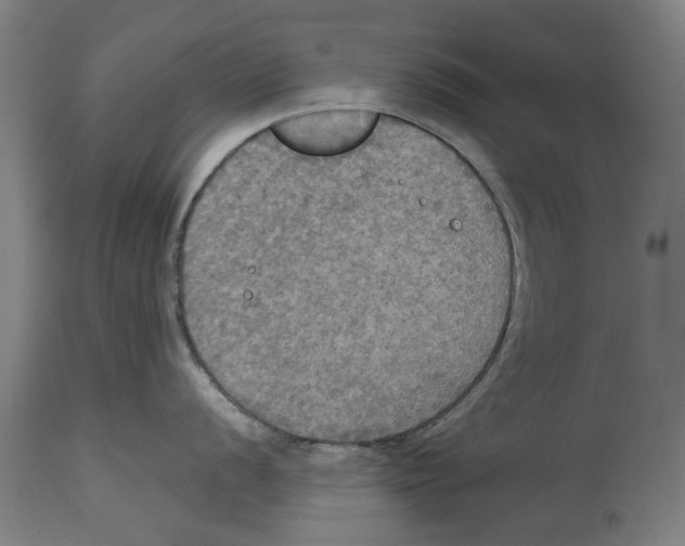 X0000114581056200911161305