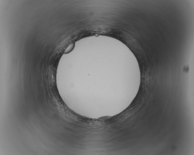 X0000114581058200911161304