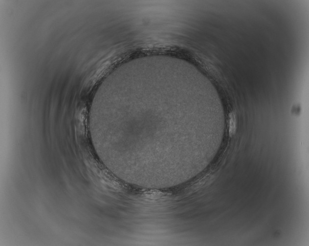 X0000114581059200911161304