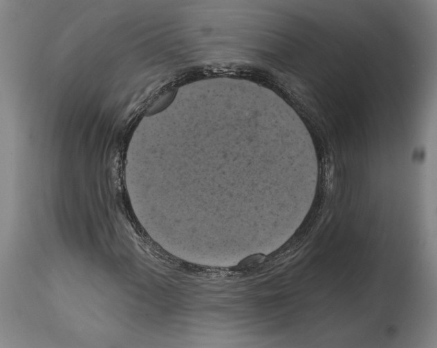 X0000114581060200911161304