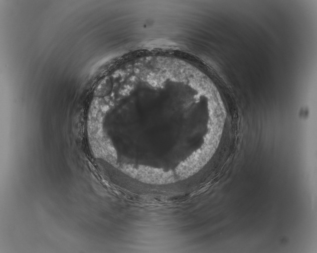 X0000114581063200911161304