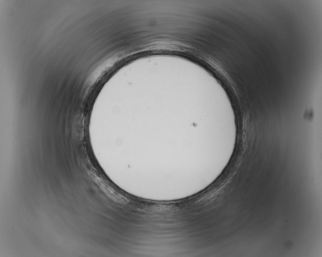 X0000114581067200911161304