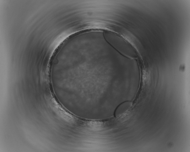 X0000114581068200911161304