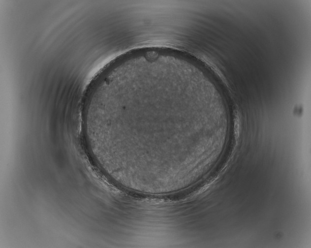 X0000114581069200911161304