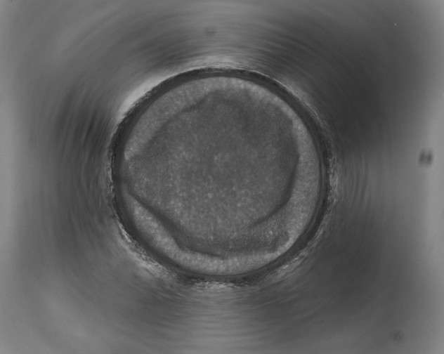 X0000114581070200911161304