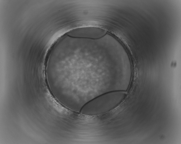 X0000114581072200911161304