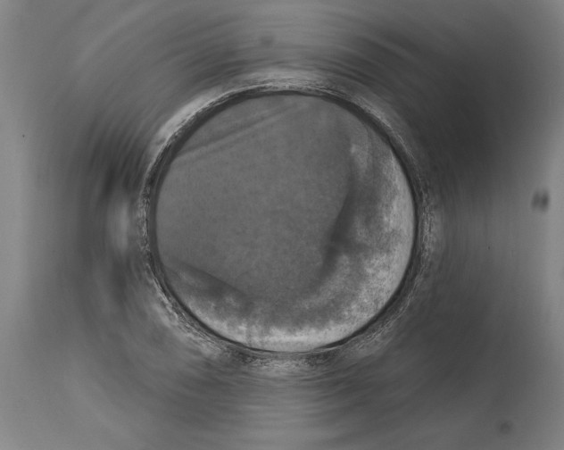 X0000114581074200911161304