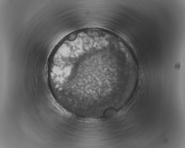 X0000114581076200911161304