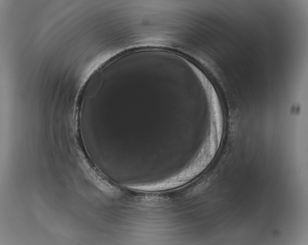 X0000114581077200911161304