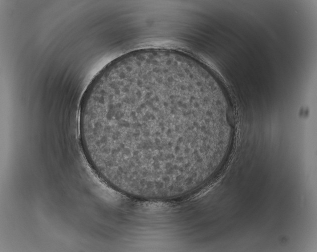 X0000114581079200911161304