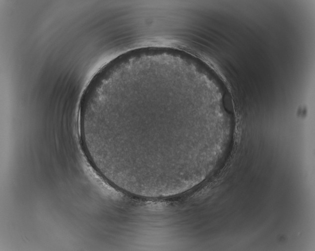 X0000114581080200911161304