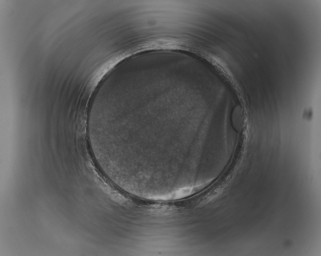 X0000114581081200911161304