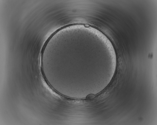 X0000114581084200911161304