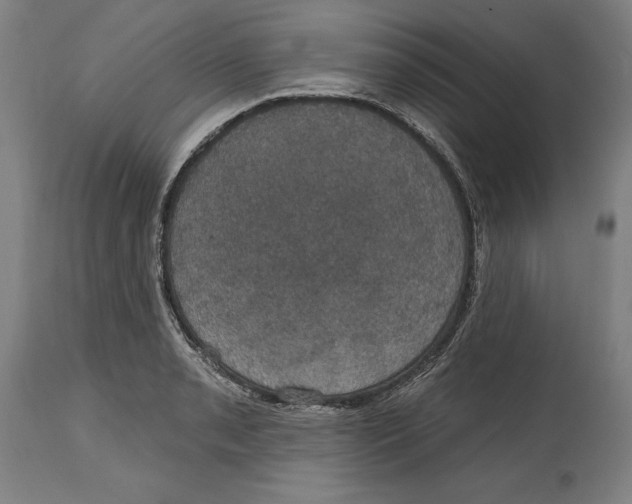 X0000114581085200911161304