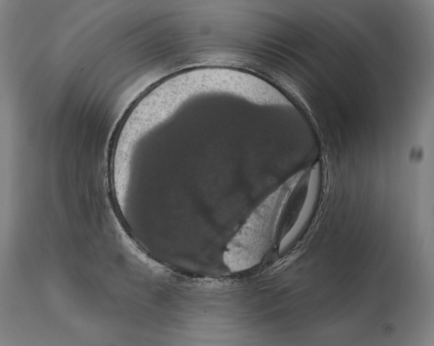 X0000114581087200911161304