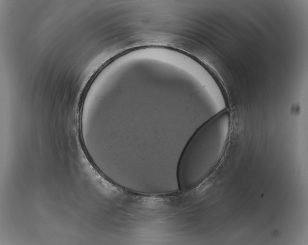 X0000114581088200911161304