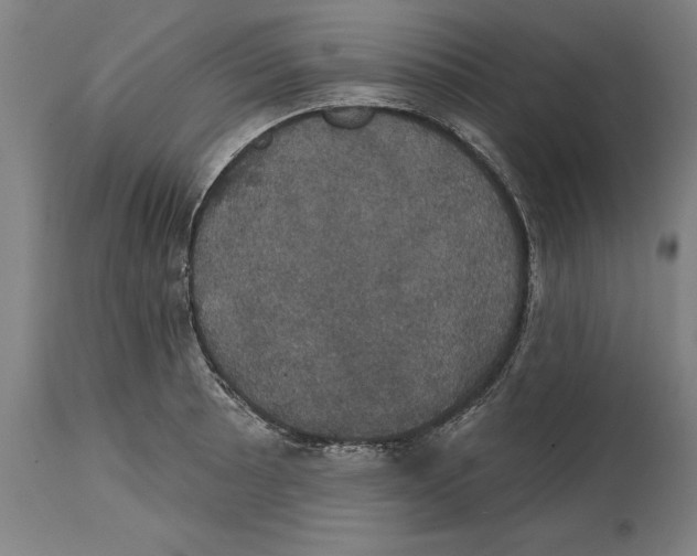 X0000114581089200911161304