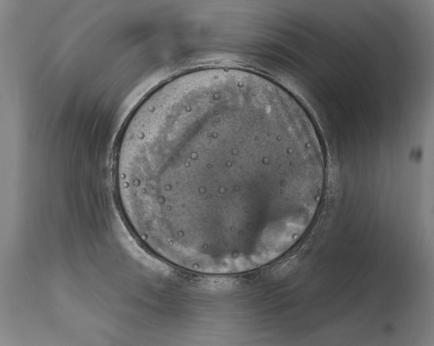 X0000114581090200911161304