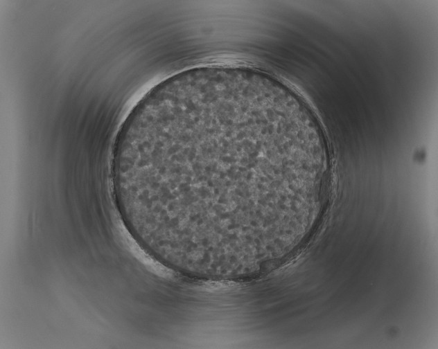 X0000114581091200911161304