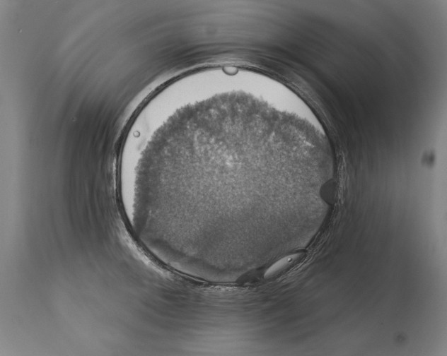 X0000114581092200911161304