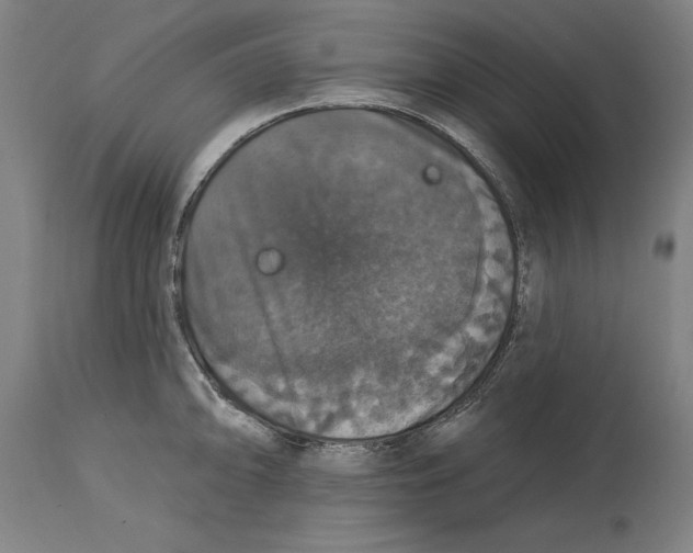 X0000114581094200911161304