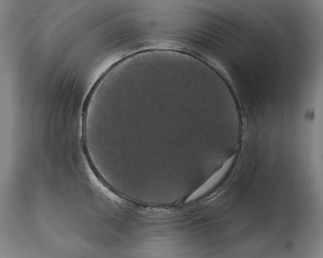 X0000114581095200911161304