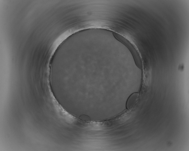 X0000114581096200911161304