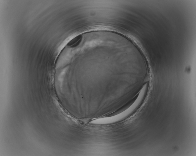 X0000114581097200911161304