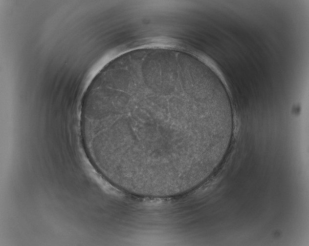 X0000114581099200911161304