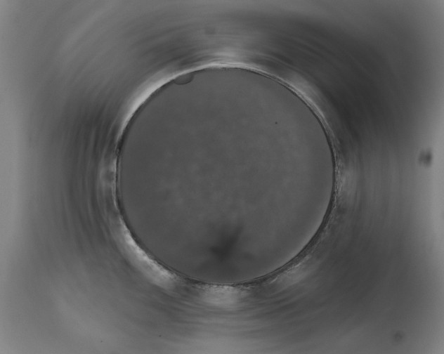 X0000114581100200911161304